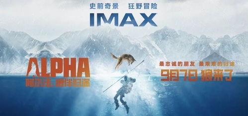 狼有视频国产在线播放,狼的震撼视听盛宴